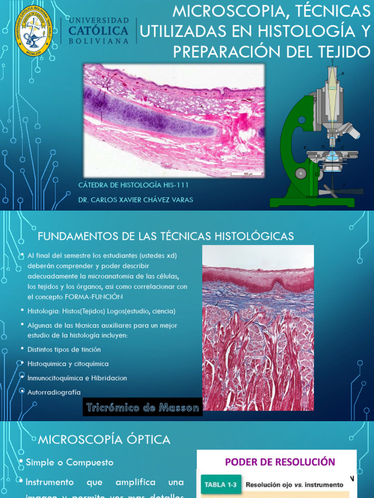 Tema 1 Histo i Microscopia | PDF | Microscópio electrónico escaneando ...