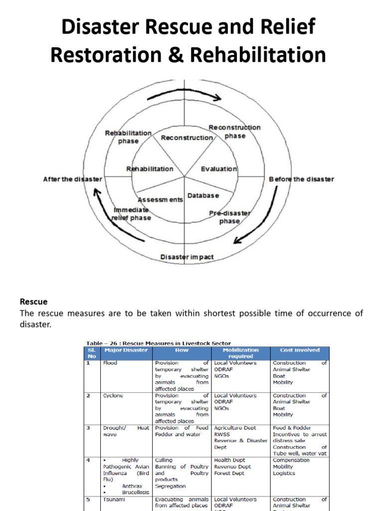 Disaster(7) Rescue and Relief | PDF | Natural Disasters | Livestock