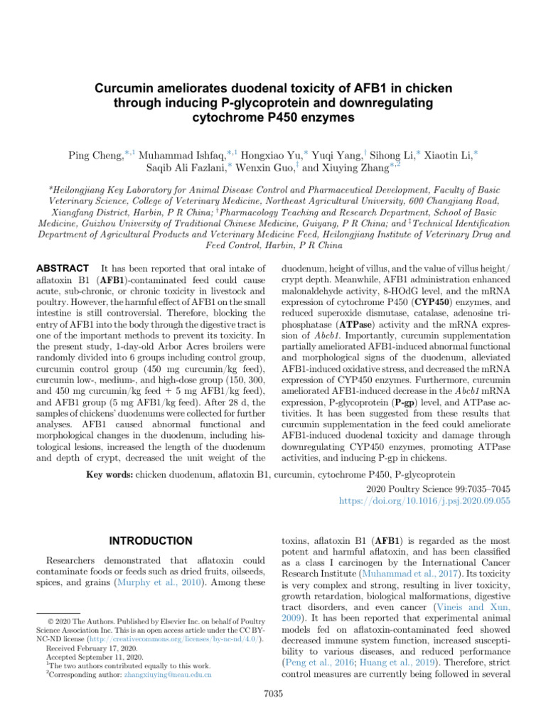 Curcumin Ameliorates Duodenal Toxicity of AFB1 in Chicken | PDF ...