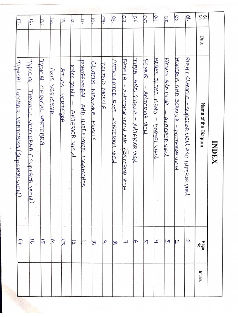 Anatomy Record | PDF