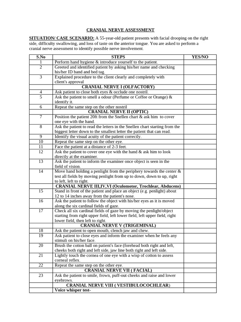Cranial Nerve Assessment | PDF | Nervous System | Human Anatomy