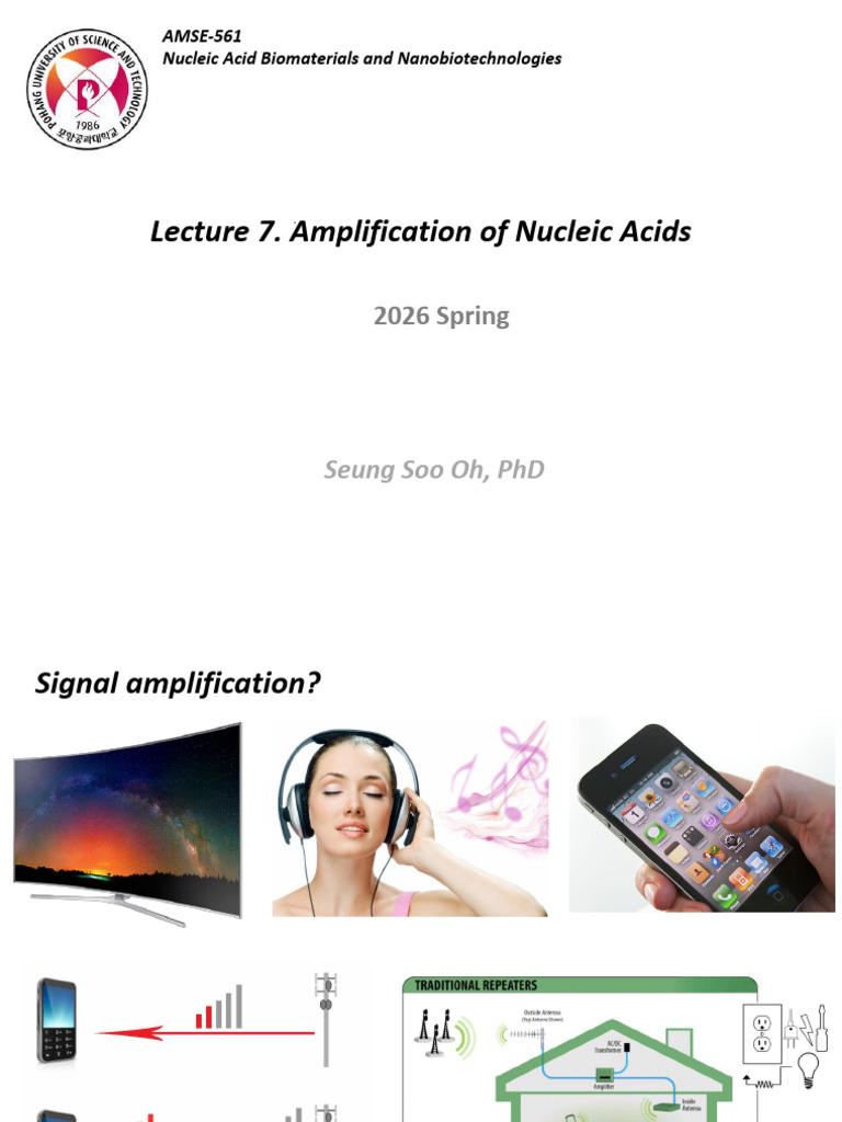 7. Amplification of Nucleic Acids | PDF | Polymerase Chain Reaction ...