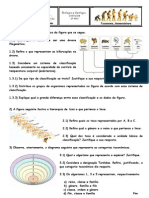 Ficha Formativa III