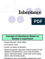 Inheritance New