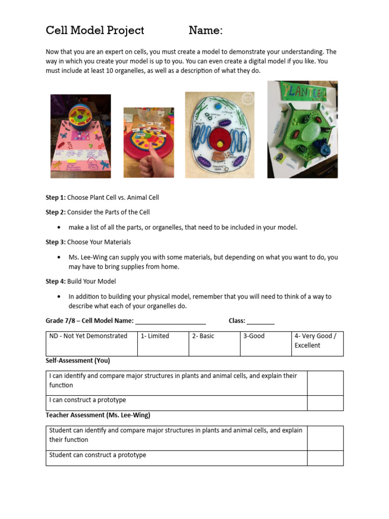Cell Model Project | PDF