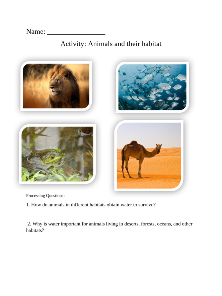 Q4 COT DLP Science 4 W2- Animals and Their Habitat | PDF