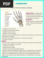 Radiografía Carpal: Técnica y Anatomía | PDF | Mano | Sistema ...