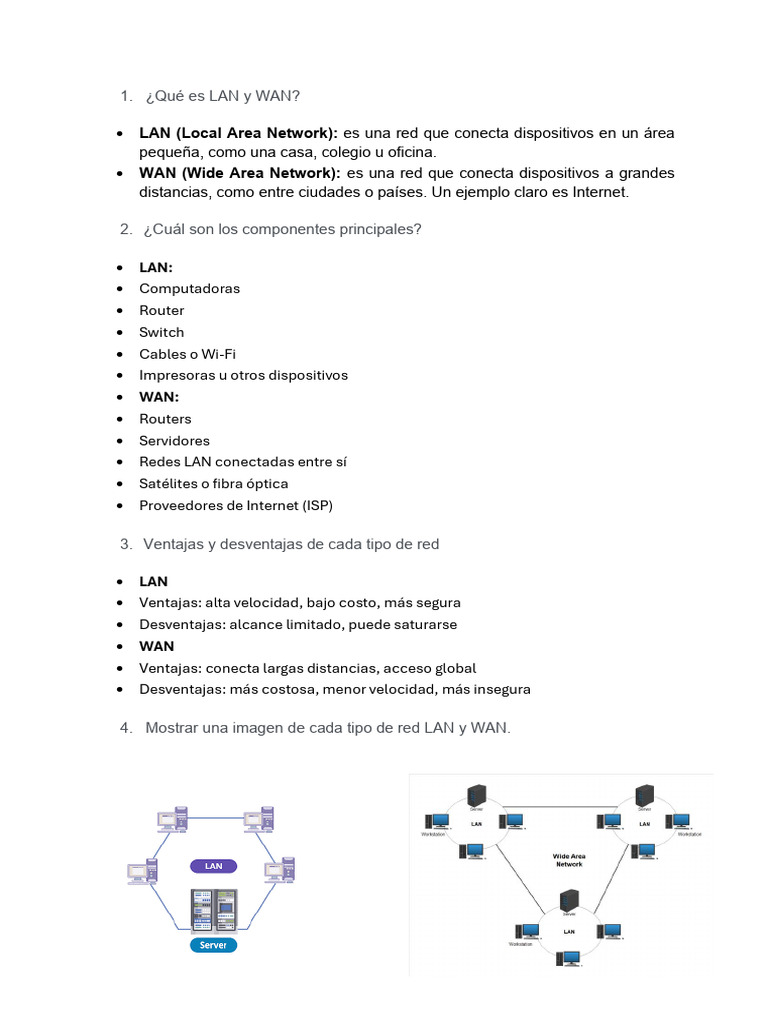 ¿Qué Es Lan y Wan | PDF