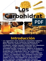 Los Carbohidratos