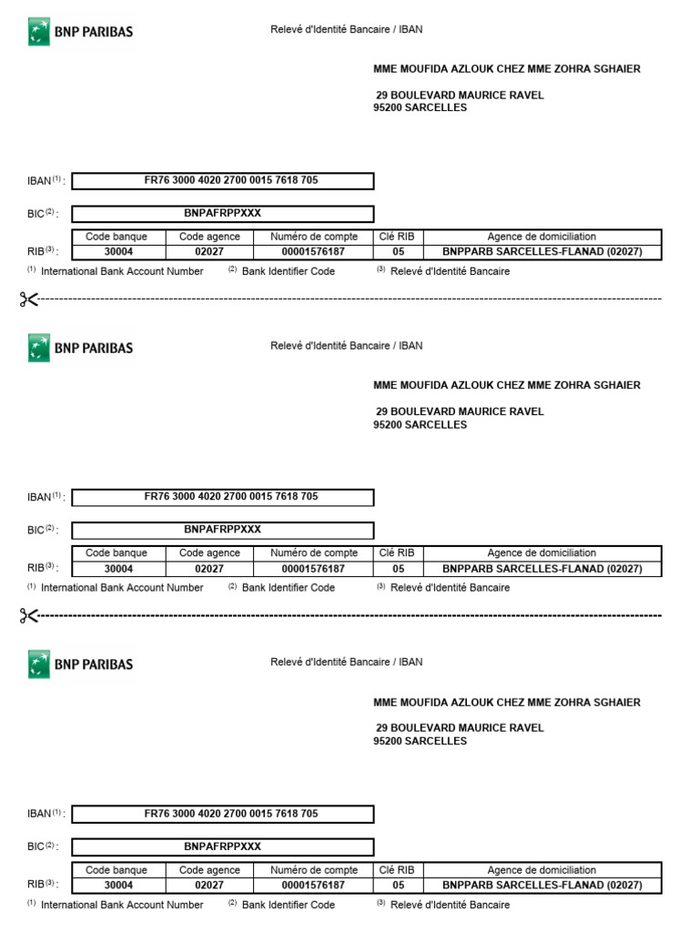 Rib | PDF | Paiements | Régulations