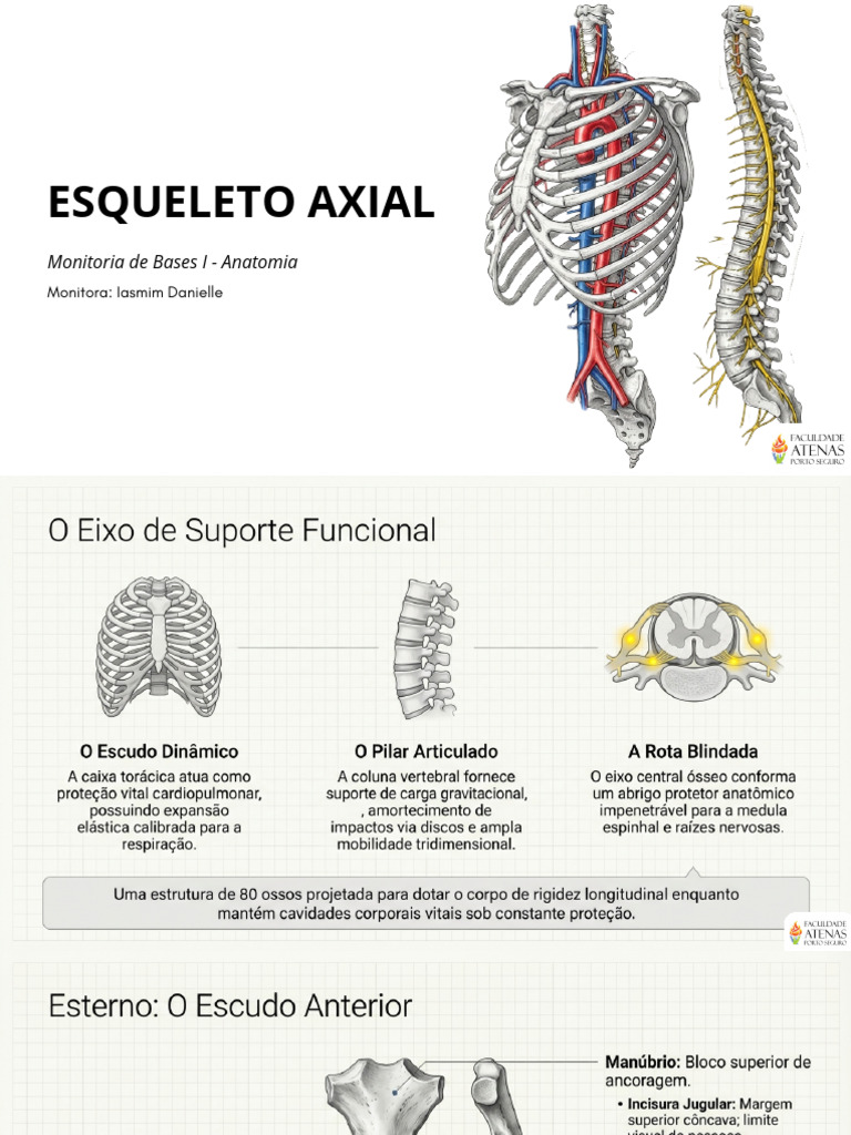 Monitoria Anatomia - Esqueleto Axial_20260410_131939_0000 | PDF