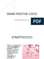 Chapter15 Streptococci