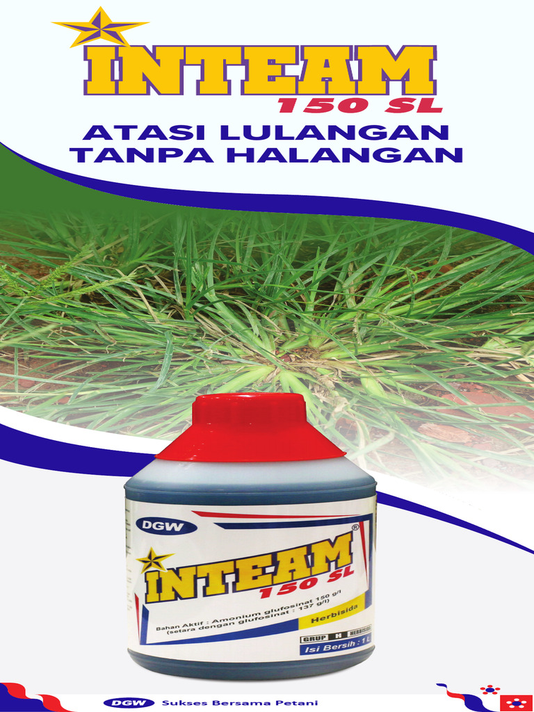 INTEAM Roll Banner - 60X160CM | PDF