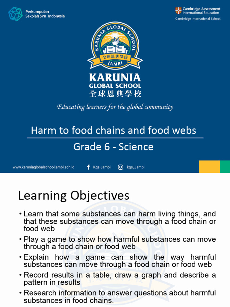 G6-Science-Harm to Food Chains and Food Webspptx_250816_163322 | PDF