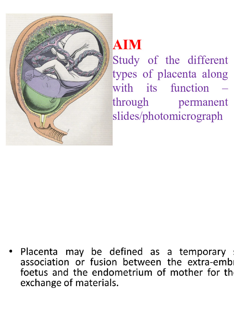 Placenta (2).pptx_20260402_210750_0000 | PDF | Placenta | Uterus