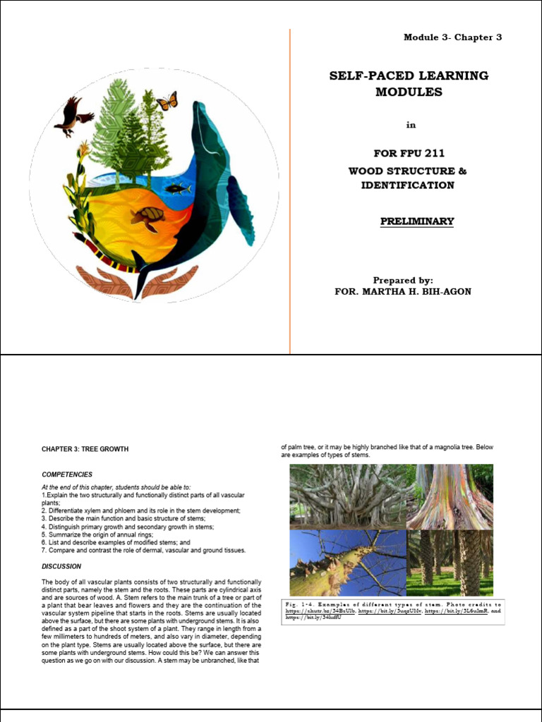 Chapter 3 Wsi Ppt. Tree Growth | PDF | Plant Stem | Tissue (Biology)