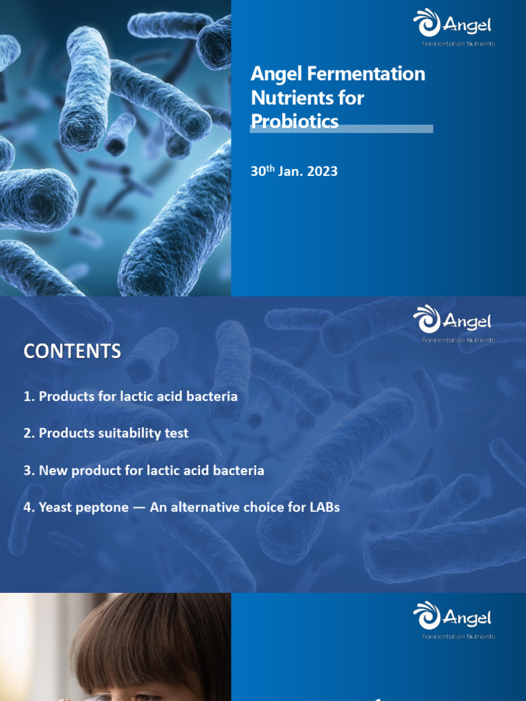 Probiotics YEF Fermentation Nutrition Introduction - ANGEL YEAST | PDF ...