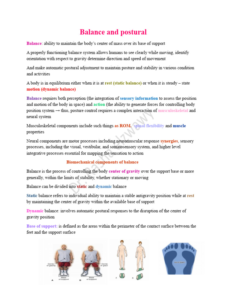 Balance and Posture2025 | PDF | Balance (Ability) | Vestibular System