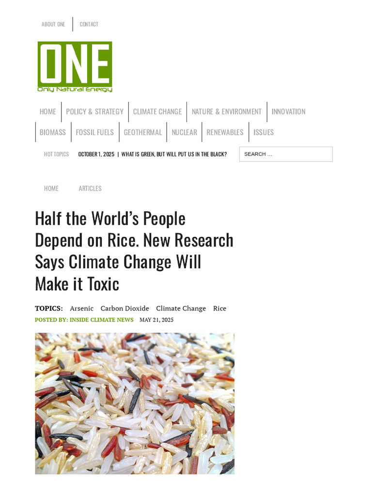 Half the World’s People Depend on Rice. New Research Says Climate ...