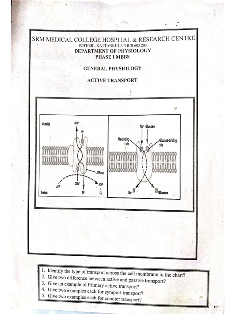 Haematology Charts | PDF