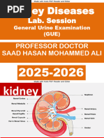 Normal Urine Routine Examination Report | PDF | Urine | Kidney