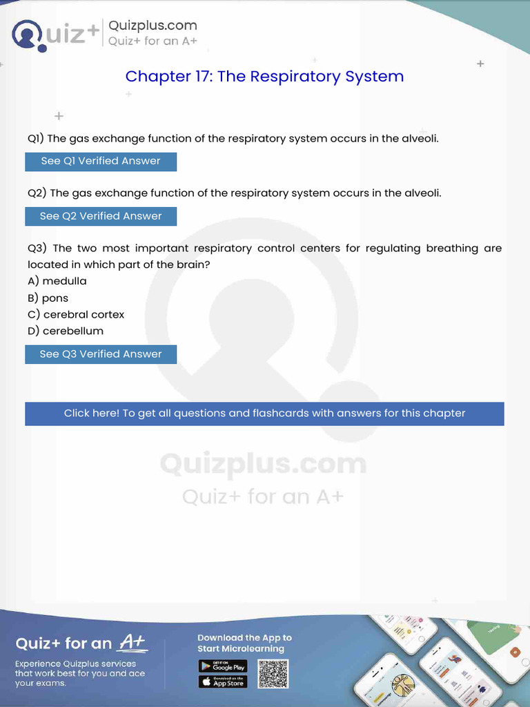 The Gas Exchange Function of the Respiratory System Occurs in the ...