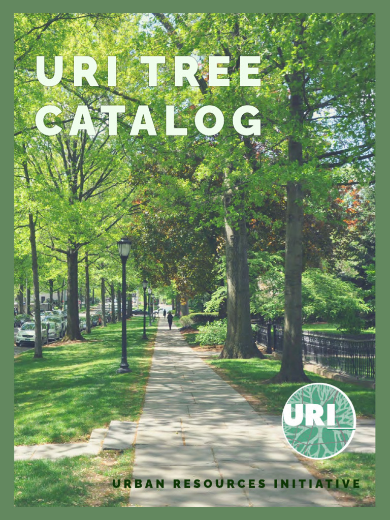 URI Tree Catalog FINAL Reduced | PDF | Trees | Maple