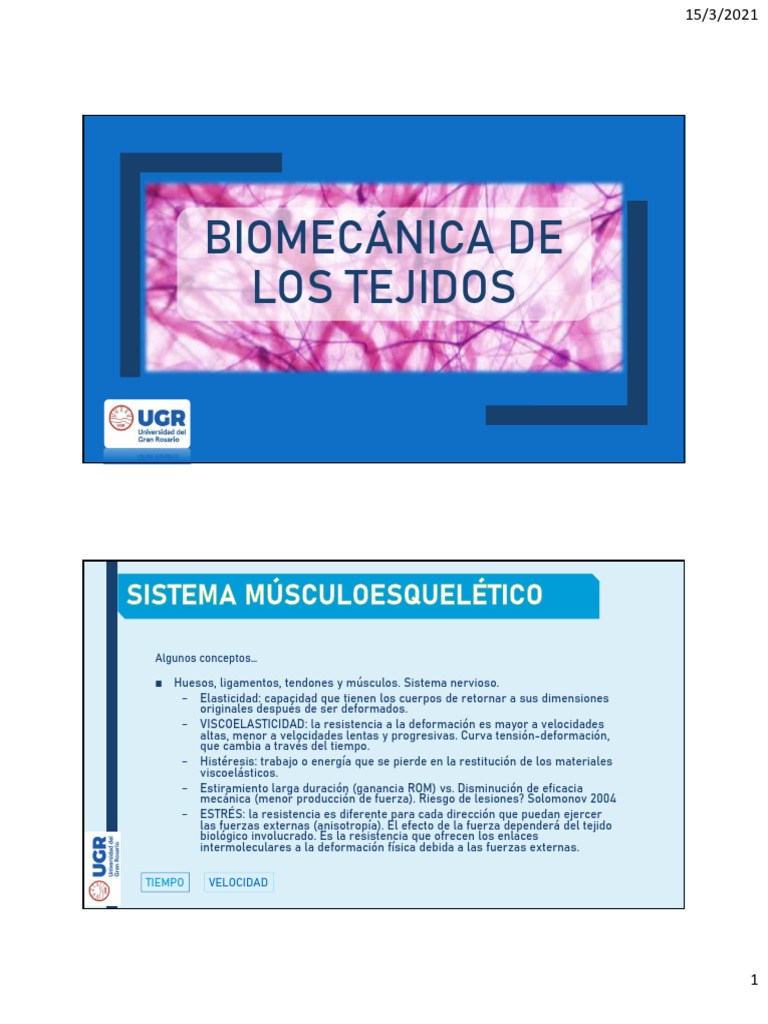 Tejidos Color | PDF | Deformación (ingeniería) | Tendón