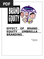 Download Effect of Brand Equity Umbrella Branding by Dr Adil Mirza SN10294882 doc pdf
