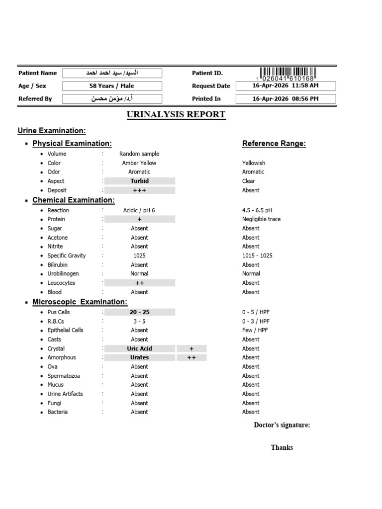 1026041610168 Urine Examination | PDF