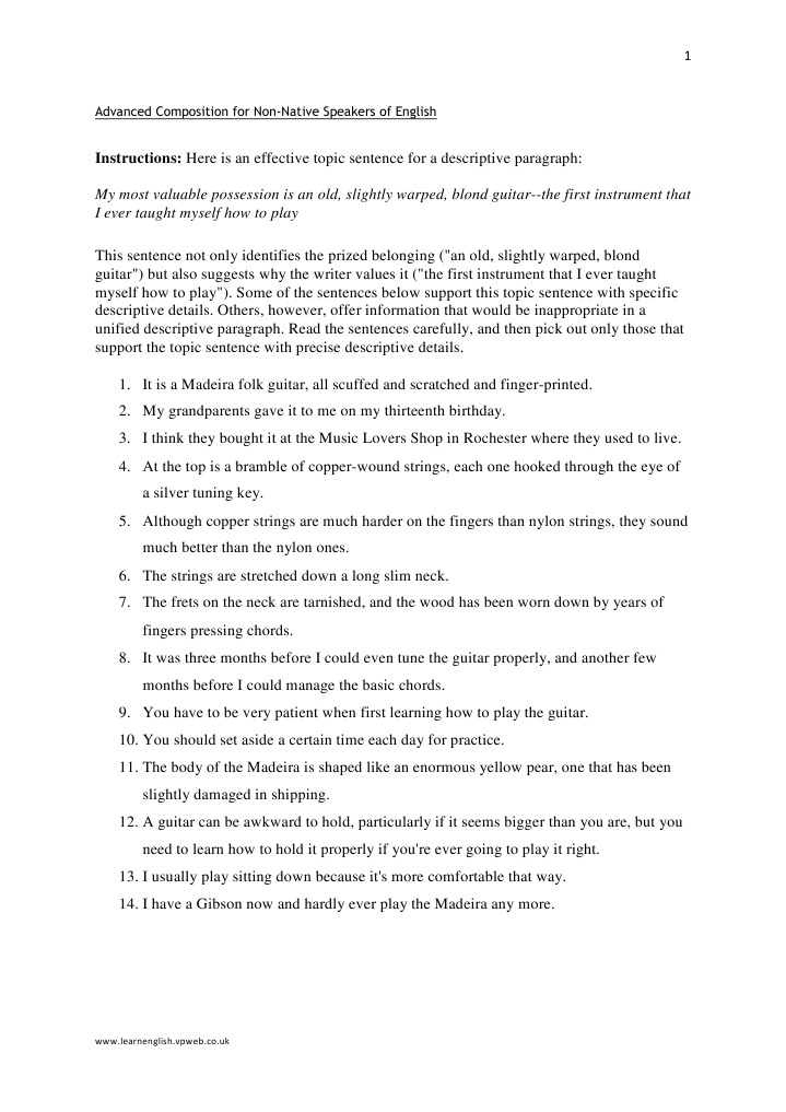 Support Topic Sentence PDF Guitars Irish Musical Instruments