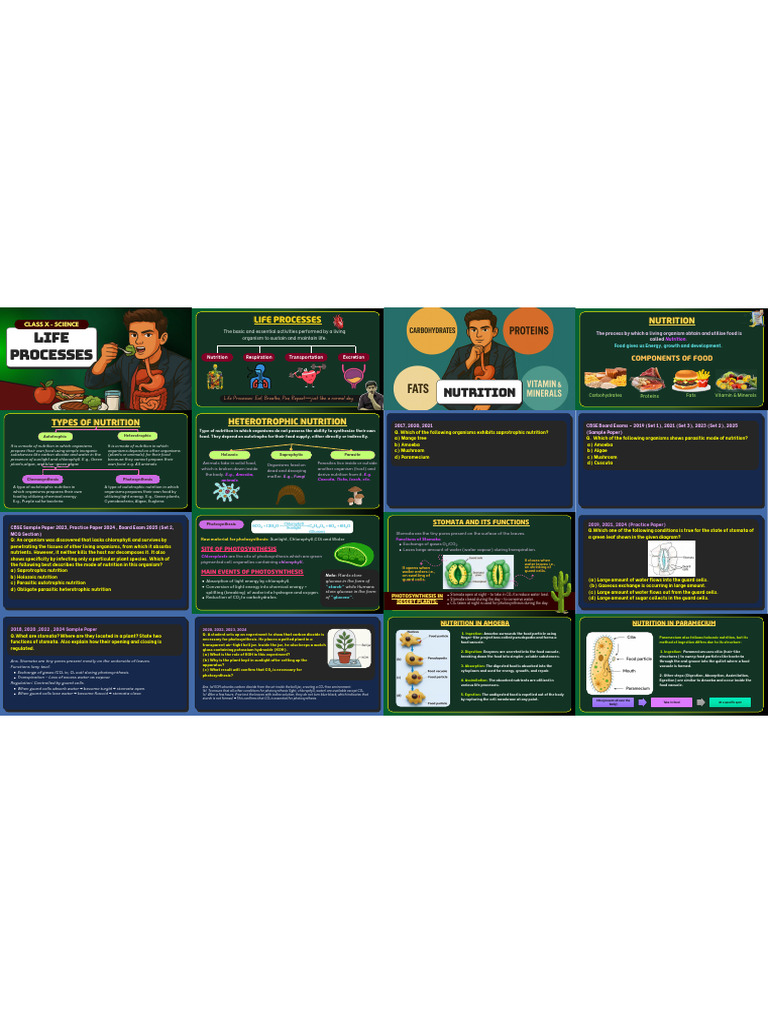Life Processes- One Shot(Prashant Kirad) (N-up 4x4) (Pdfresizer.com ...