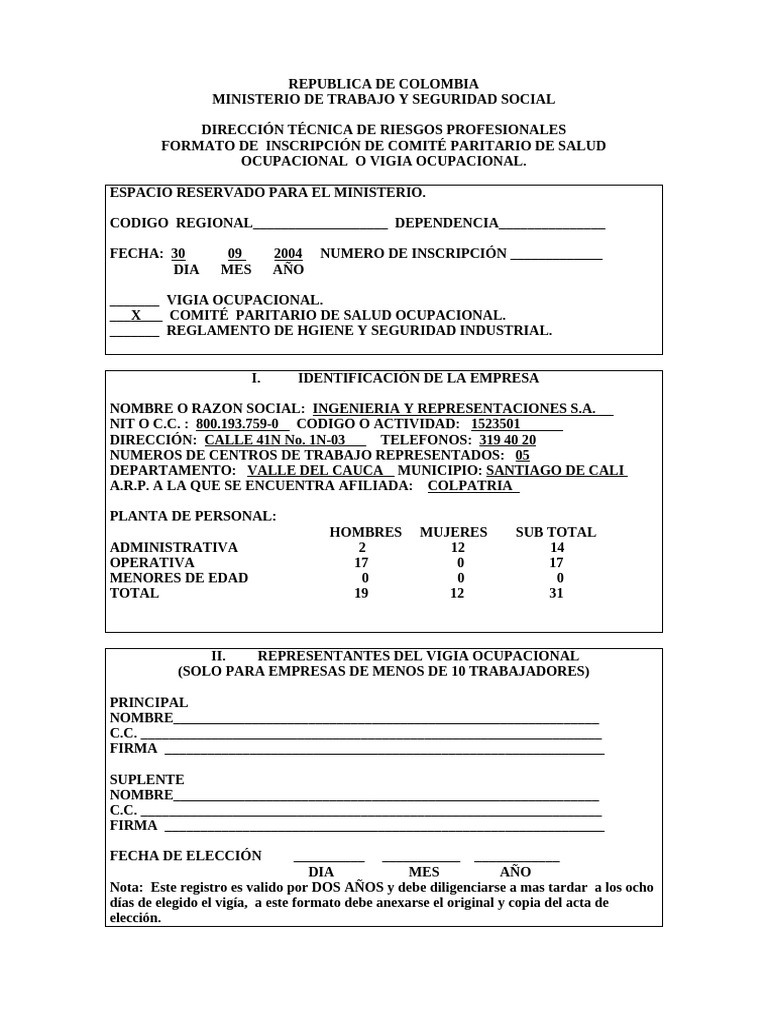 Formato registro copaso | PDF | Gobierno
