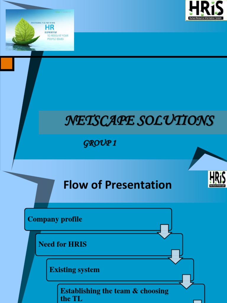 Netscape Solutions Group 1 PDF Computing Information Technology