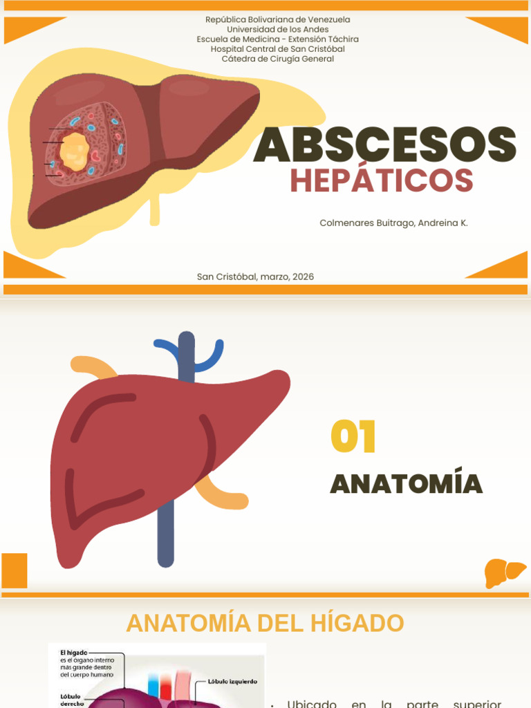 Abscesos Hepaticos- Andreina Colmenares-1 | PDF | Hígado | Vena