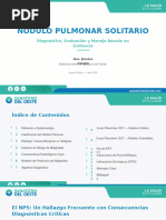 Guía Fleischner 2024: Manejo de Nódulos Pulmonares | PDF | Cáncer de ...