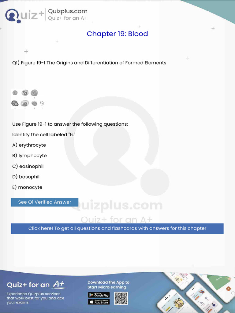 Identify the Cell Labeled 6 | PDF | Heart | Anatomy