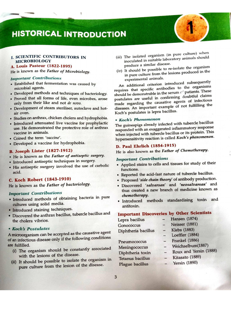 MLT -micro book | PDF