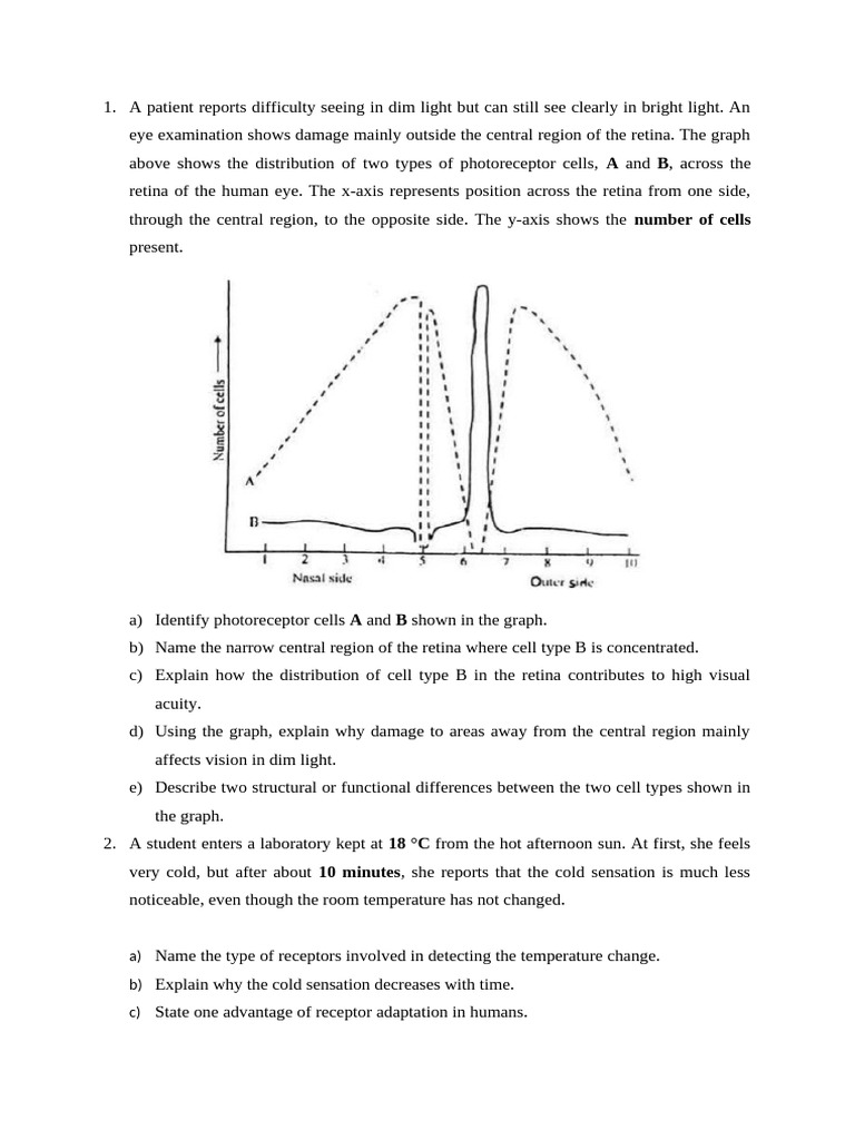 Eye Scenarios | PDF