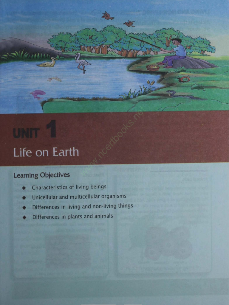 Class 6 Biology Chapter 1 Life On Earth | PDF