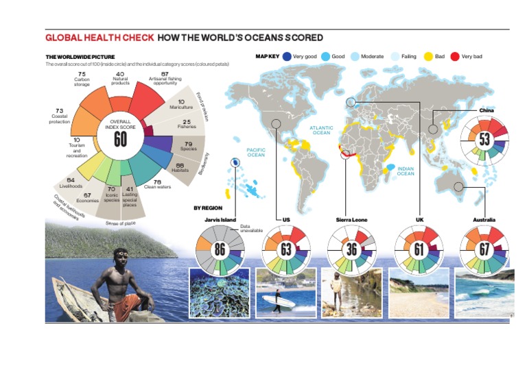Global Health Check | PDF