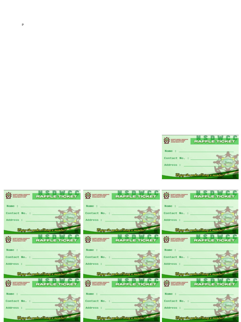 Raffle Ticket 2024 | PDF