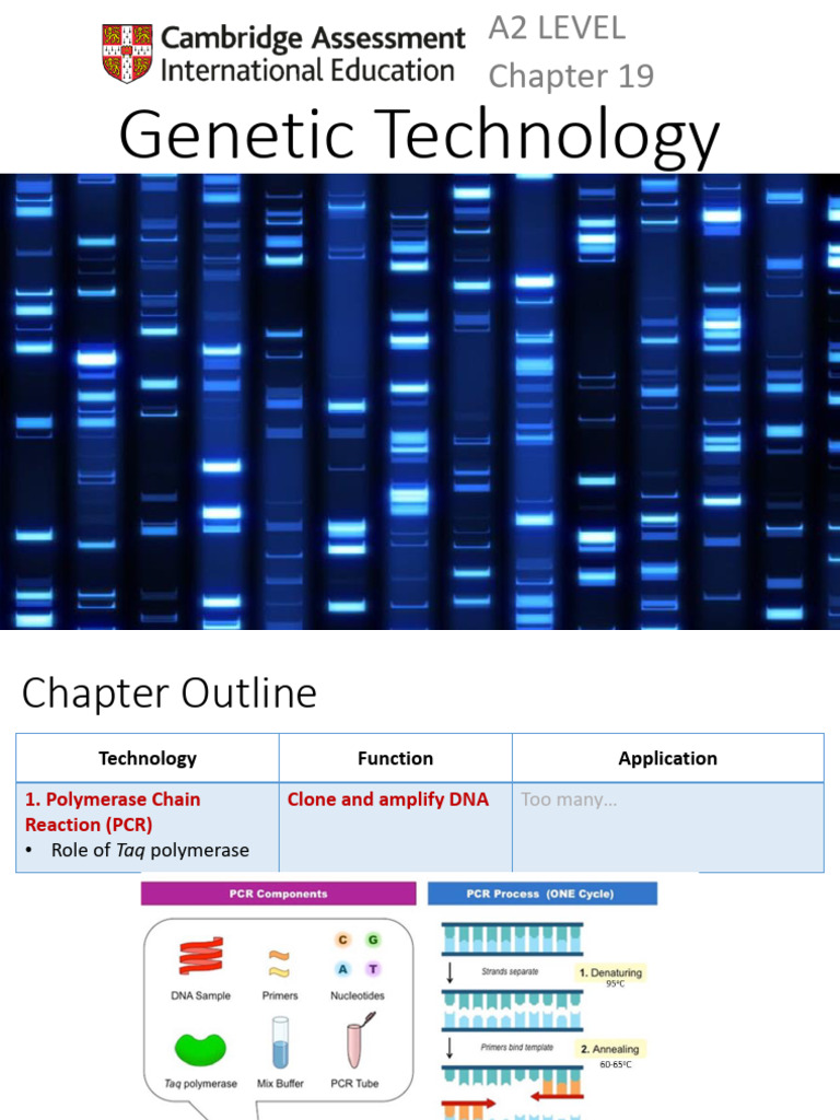 19 Gene Technology | PDF | Polymerase Chain Reaction | Gel Electrophoresis