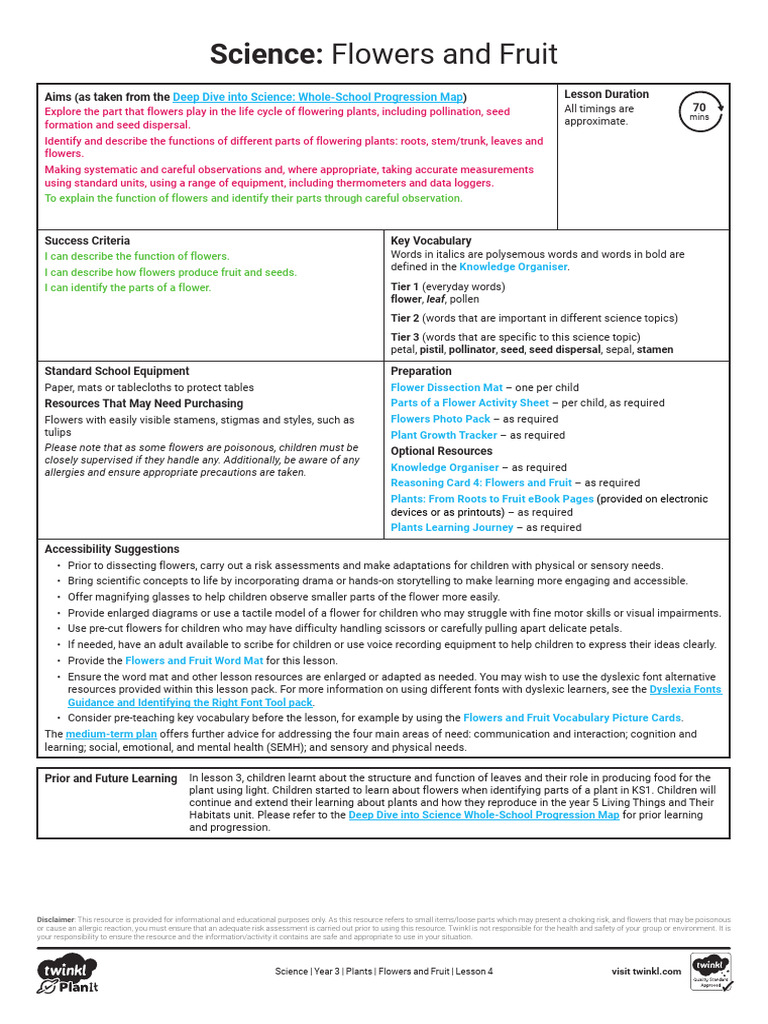 Lesson Plan Flowers and Fruit | PDF | Flowers | Dyslexia