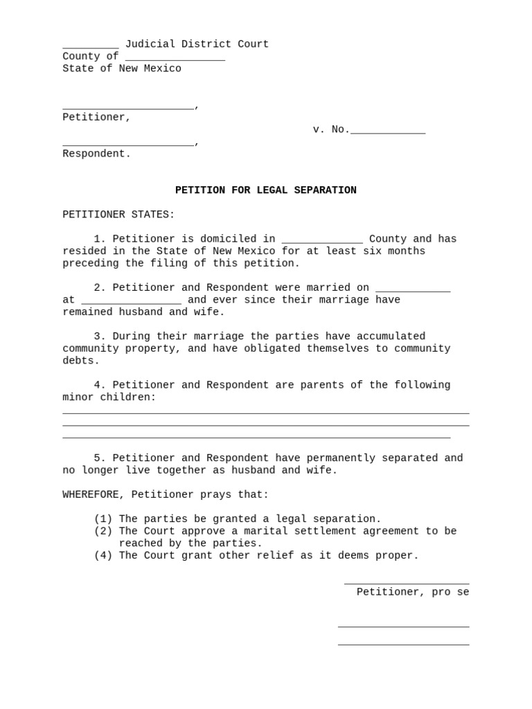 Separation- Petition for Packet | PDF | Marriage | Pleading