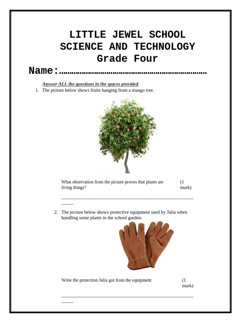 Grade 4 Science and Technology | PDF