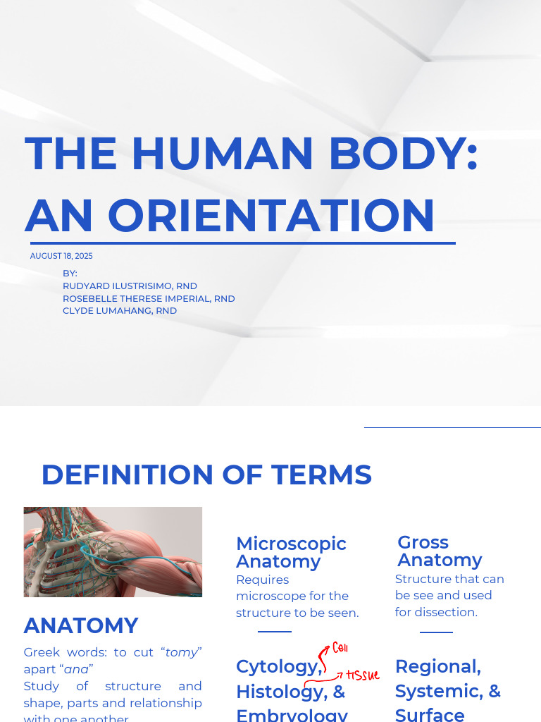 The Human Body Slide Deck | PDF | Homeostasis | Human Body