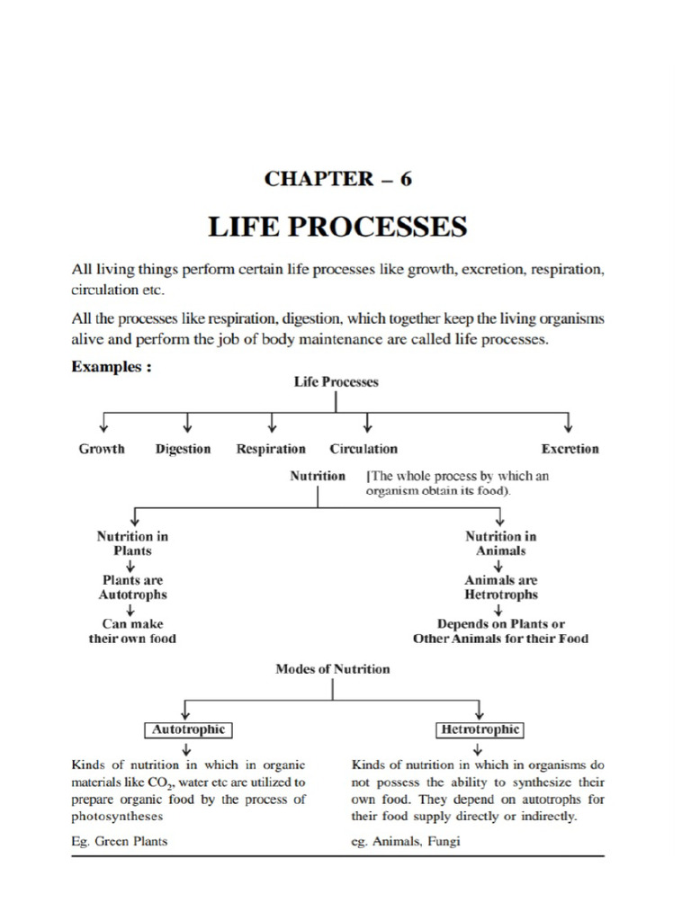 Life processes | PDF