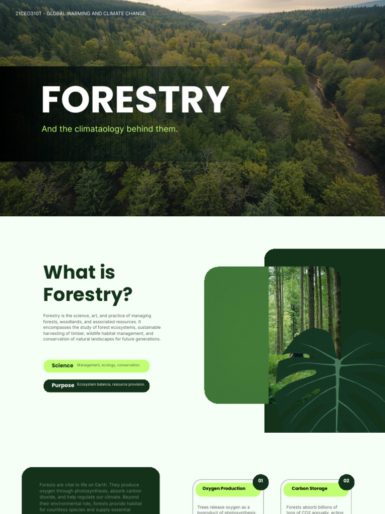 21CEO310T - Global Warming and climate change | PDF | Forests | Forest ...