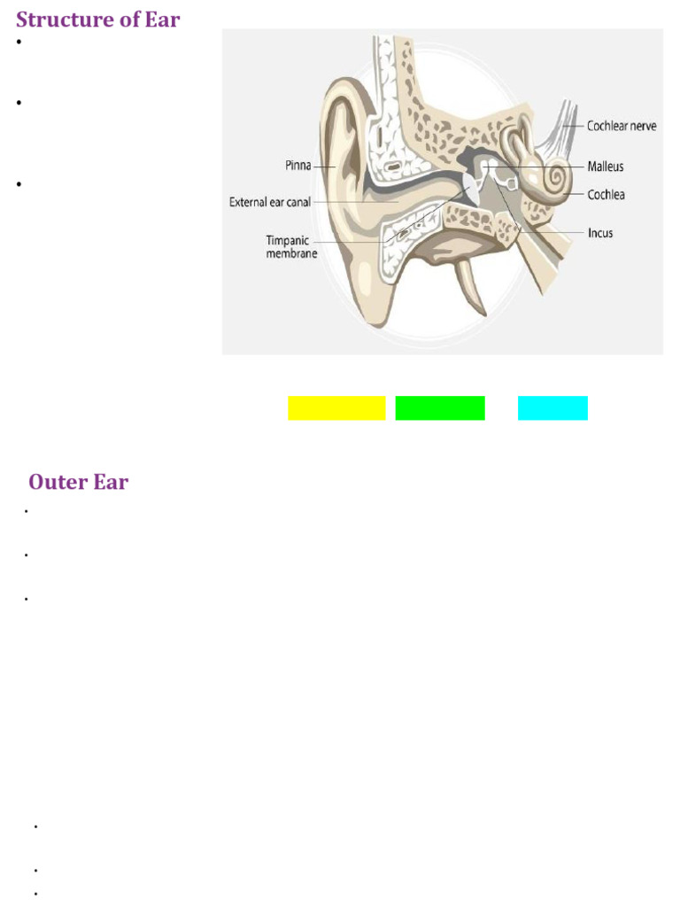 Module 4.4_Mechanism of Hearing_Ear | PDF | Ear | Auditory System
